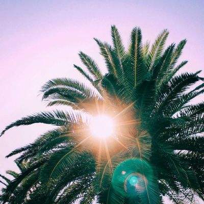 一分钟pk10赛车App