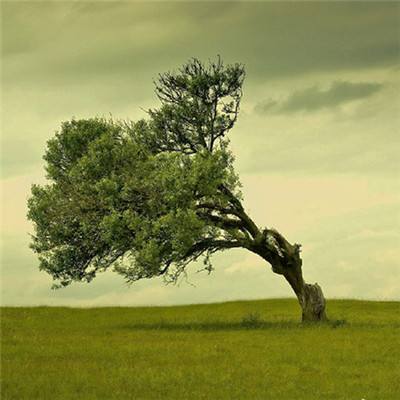 江南体育官网入口