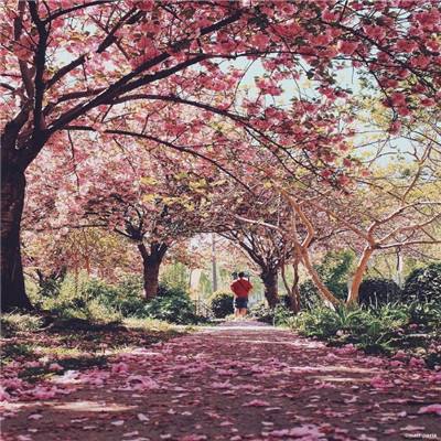 bob·体育综合appapp下载截图