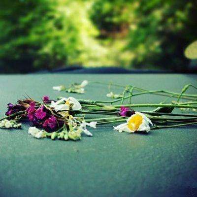 中欧官方体育app下载