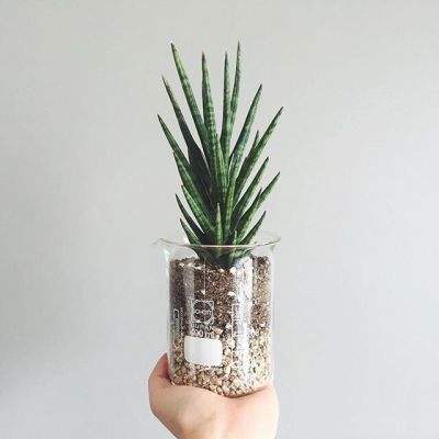 开元ky888网址进入下载