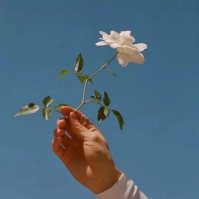 半岛·综合体育下载手机版