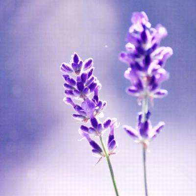 亚博体育(中国)官方网站