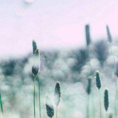 助赢软件下载手机版