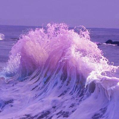 开云集团手机app下载